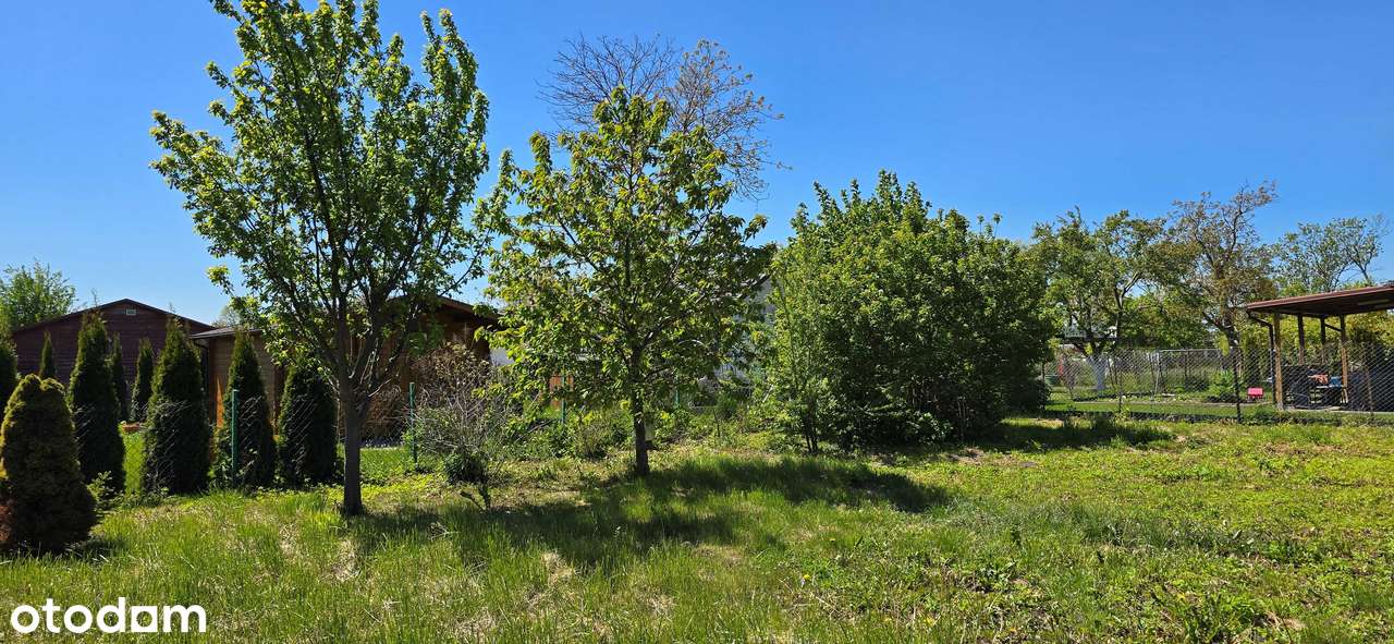 Działka ROD Gdańsk Stogi blisko morza - Pełny obrazek: 5/7