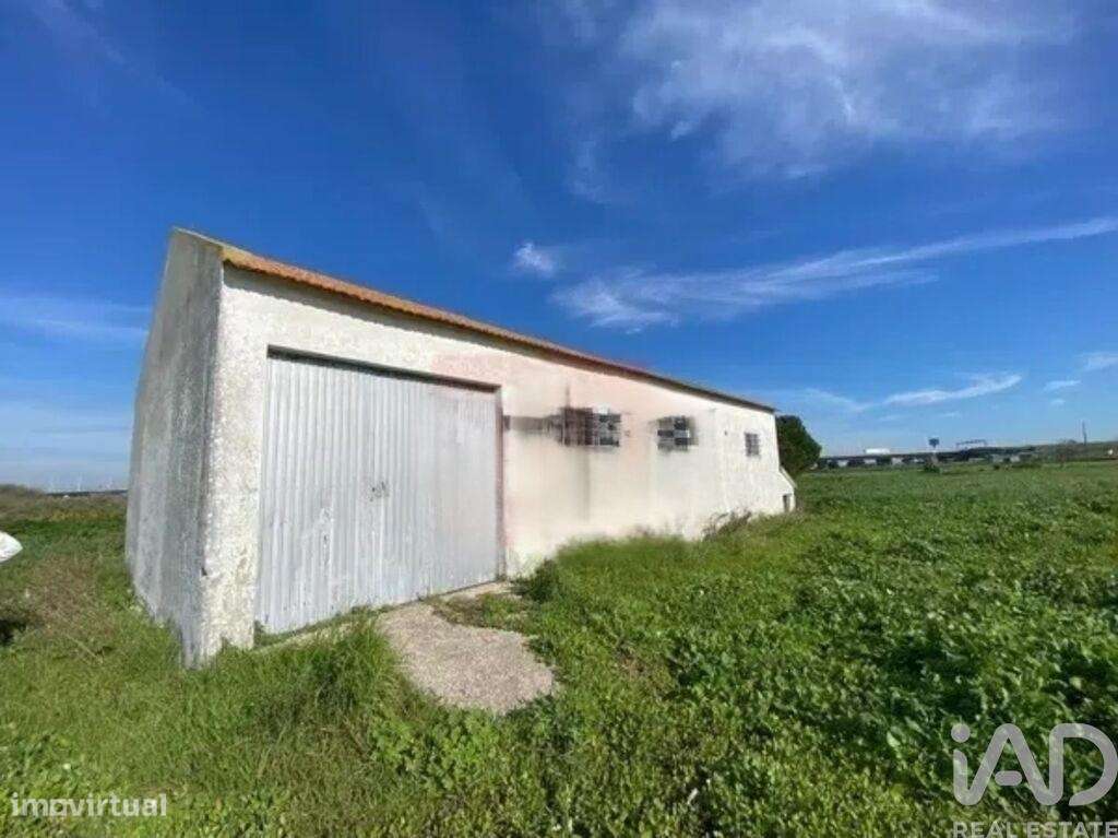 Terreno Agrícola em Samouco - Grande imagem: 2/28