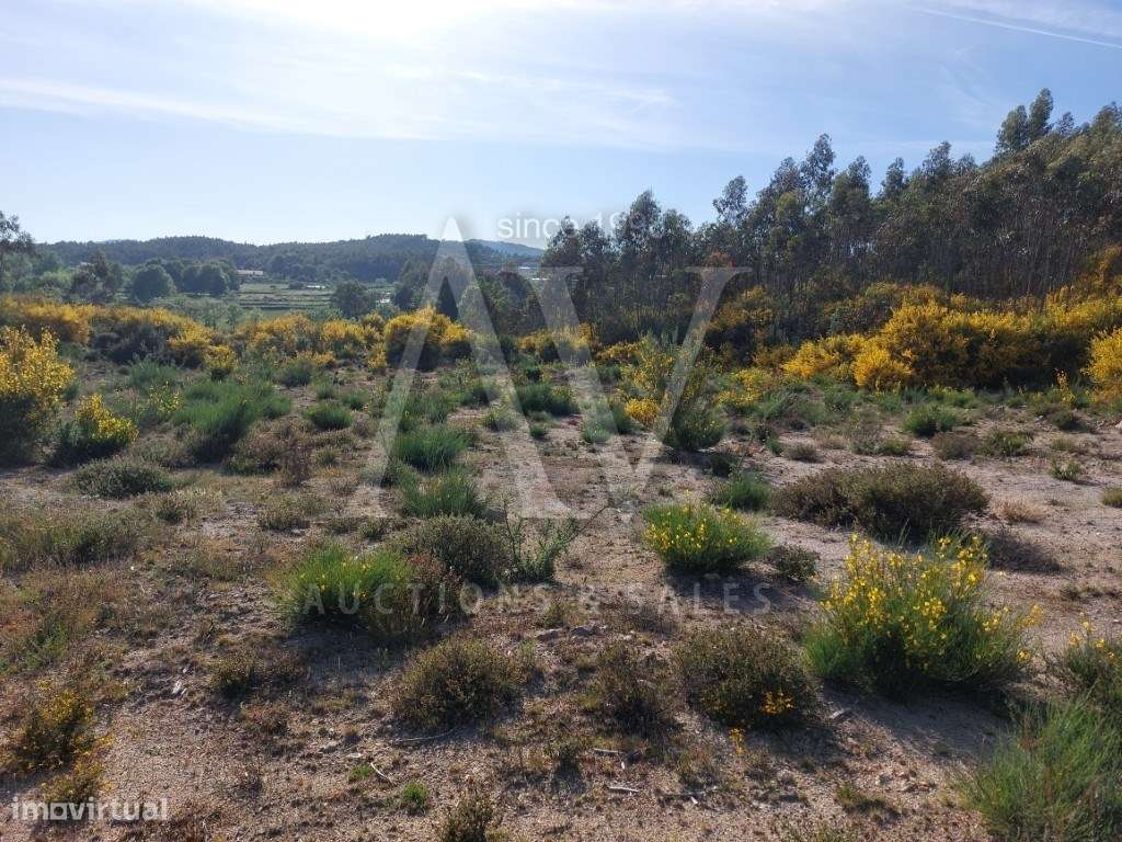 Terreno para construção - CAMPIA - VOUZELA | LEILÃO ELETRÓNICO | FI... - Grande imagem: 5/6