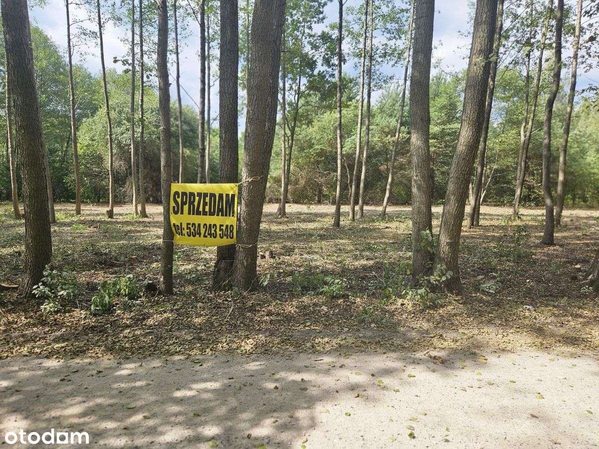 Działki budowlane w otoczeniu drzew-8