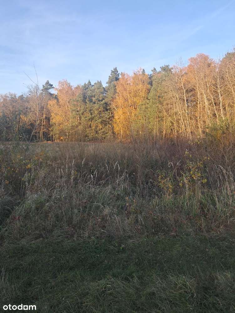 Działka budowlana z warunkami o pow. 1400m2, Dzierzbin – gm. Mycielin-0