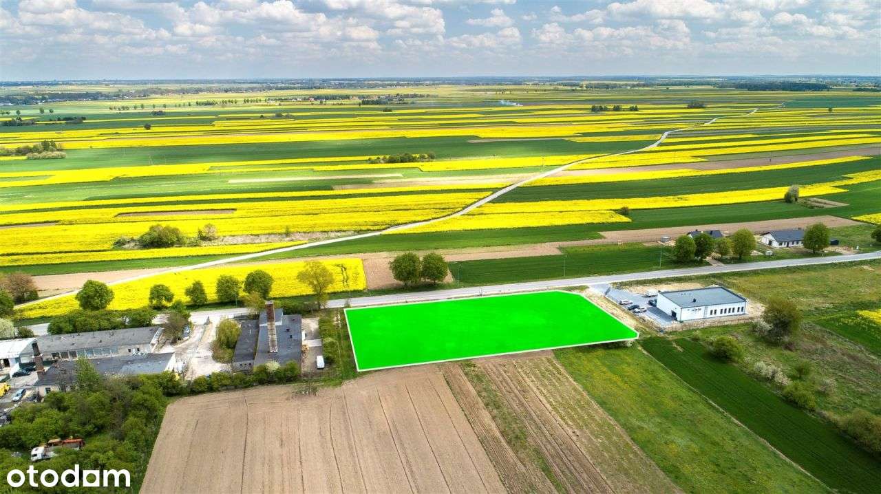 Działka 38,4 ar w Bełżycach pod Usługi / Handel - Pełny obrazek: 5/5