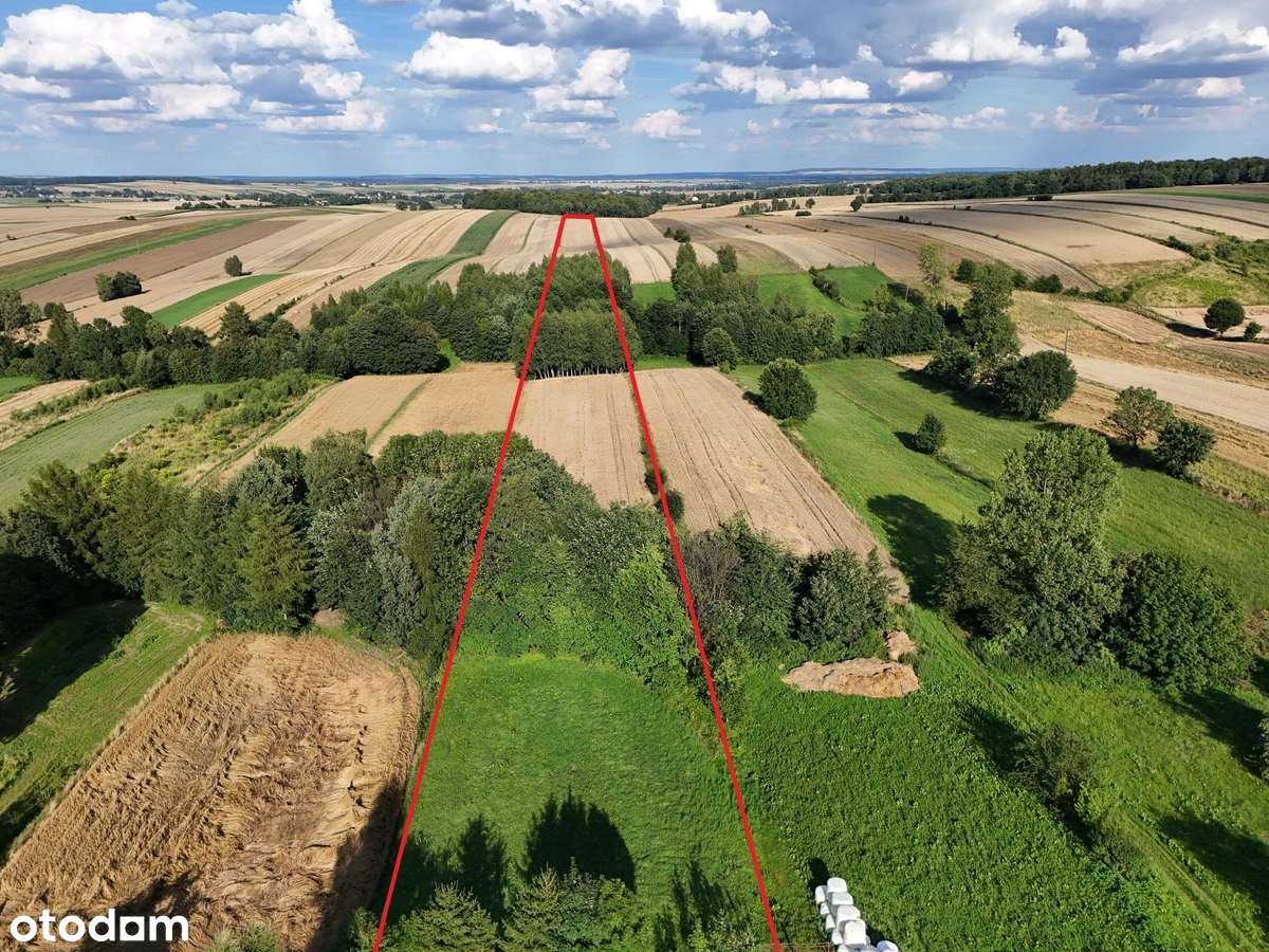 Siedlisko 3,202 ha, dom 200 m2, stodoła  200 m2, możliwość podziału !-1