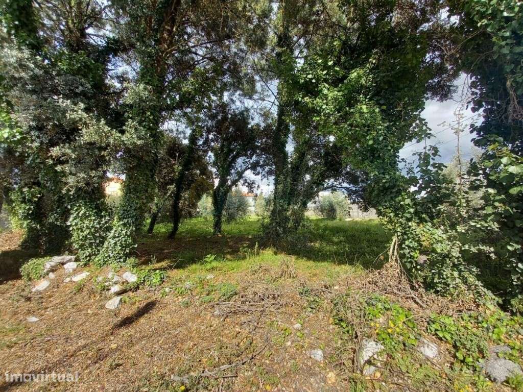 Lote de terreno para construção de moradia - Grande imagem: 5/8