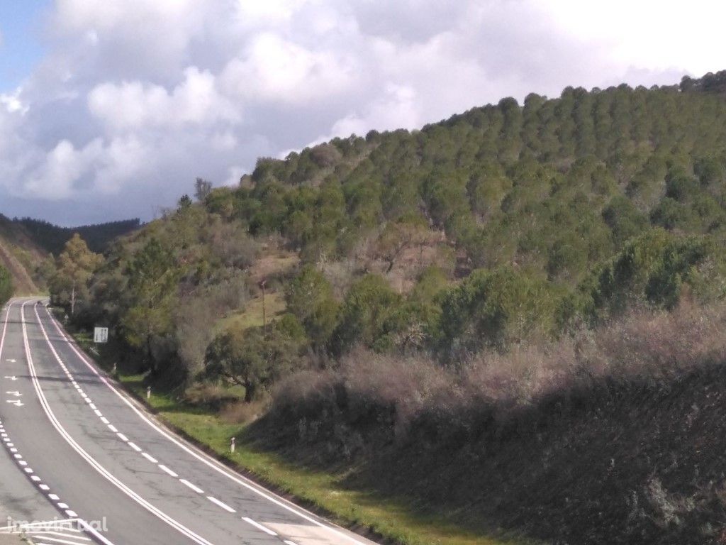 Terreno em São Marcos da Serra com 51,7795 Ha