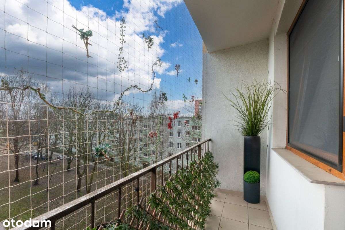 3 pokoje, kuchnia, loggia, piwnica, ul. Widok-16