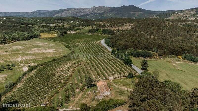 Quintinha T5 / Covilhã, Teixoso-5