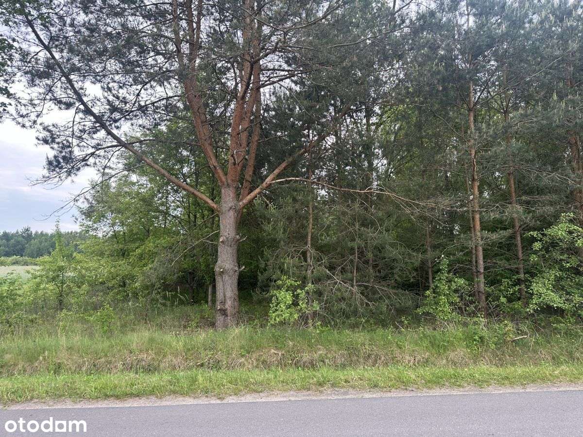 Działka w cichej i malowniczej okolicy-3