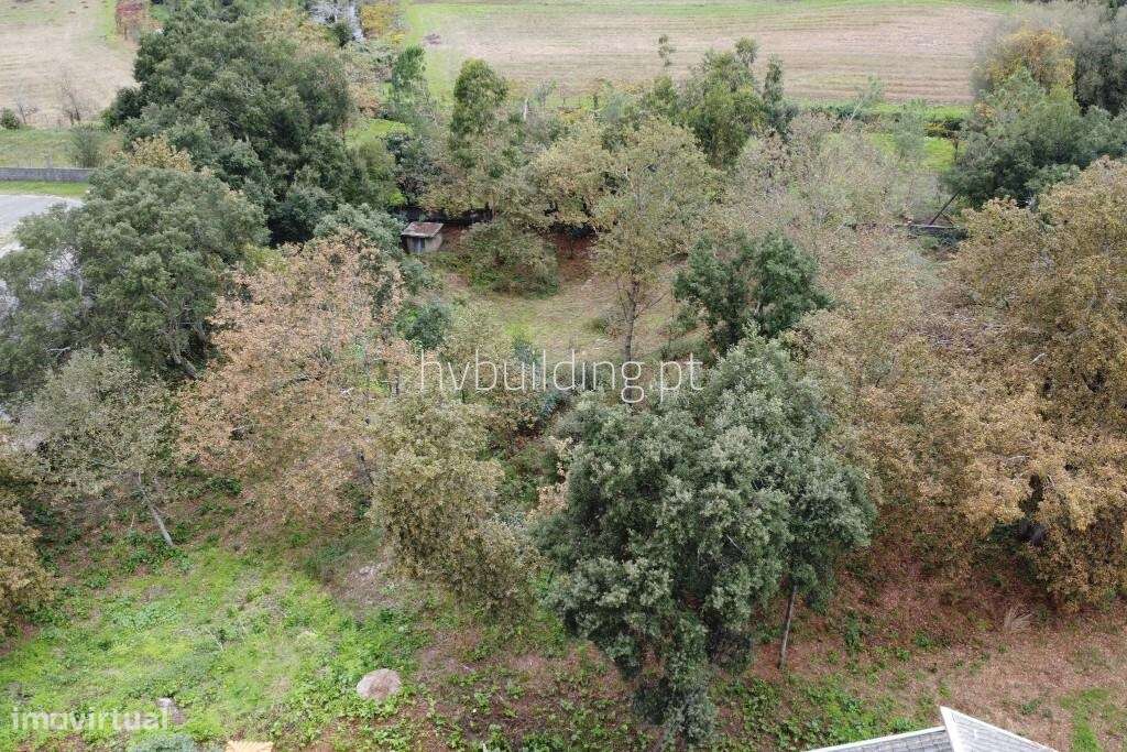 Terreno para construção em Carvalhal-7