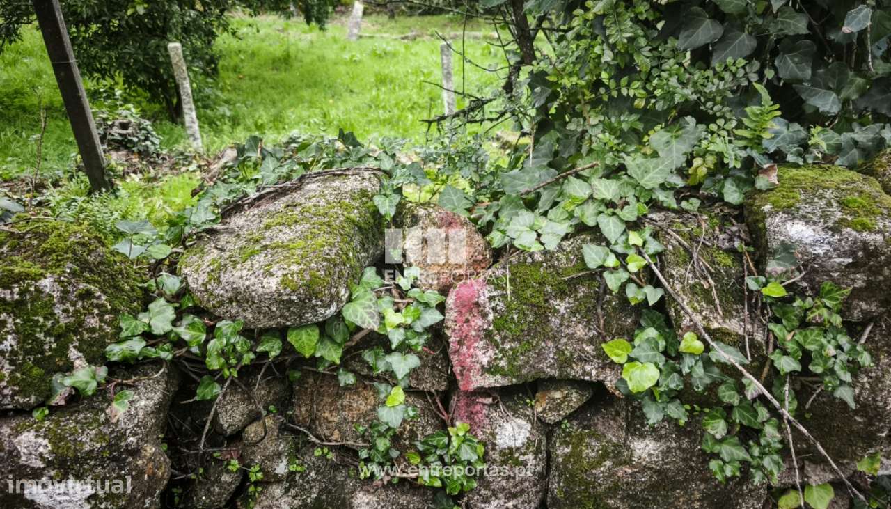 Venda de Terreno de construção, Outeiro, Viana do Castelo - Grande imagem: 5/21