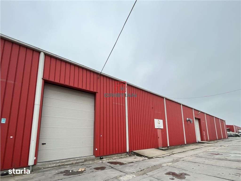 Inchiriere depozithalaspatiu industrial Stefanesti - A3 - Centura - Imagine principală: 2/13