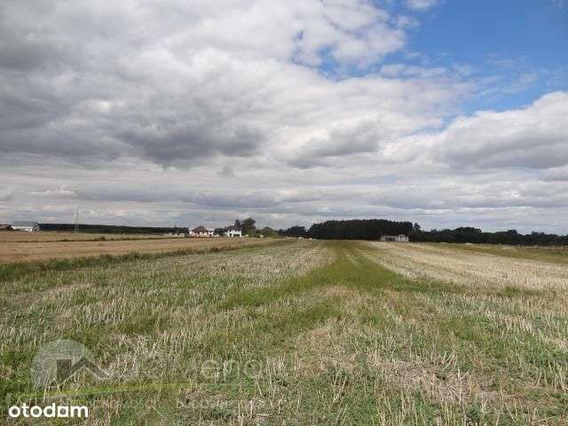 Działka, 1 300 m², Pniówek - Pełny obrazek: 5/9