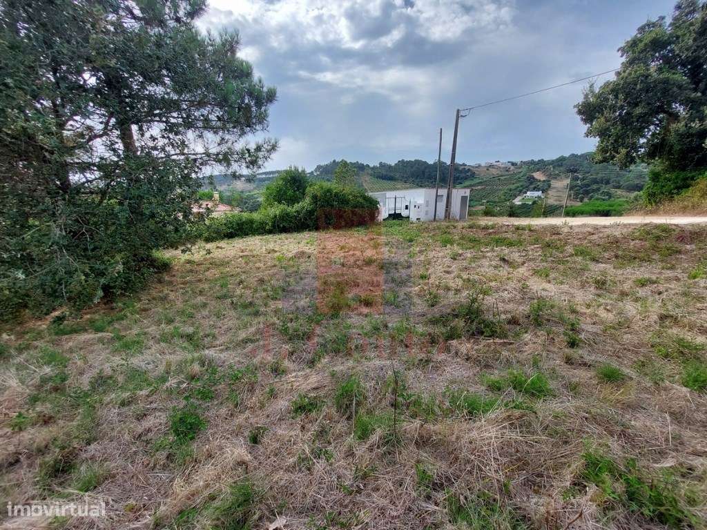 Terreno rústico com 3.096 m² em Salir de Matos - Grande imagem: 4/18