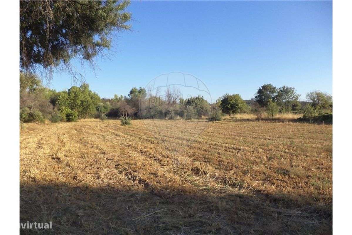 Quinta T0 para venda - Grande imagem: 5/12