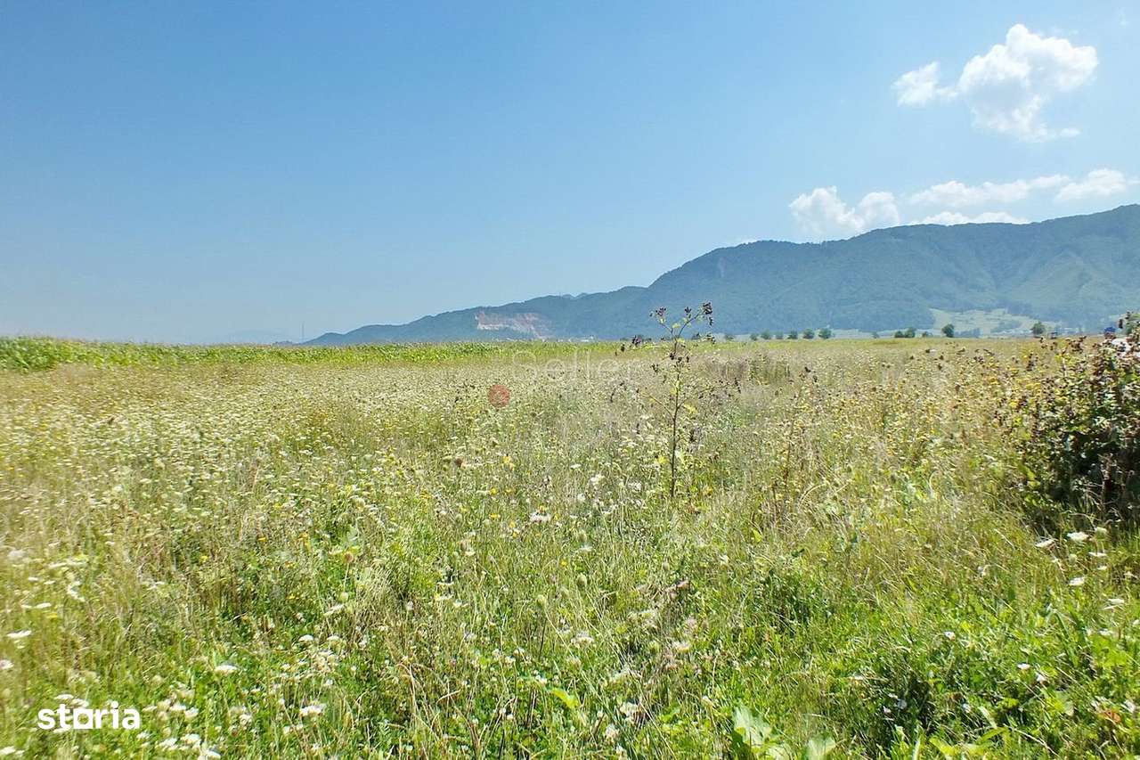 Pretabil Investitie - Imagine principală: 3/6