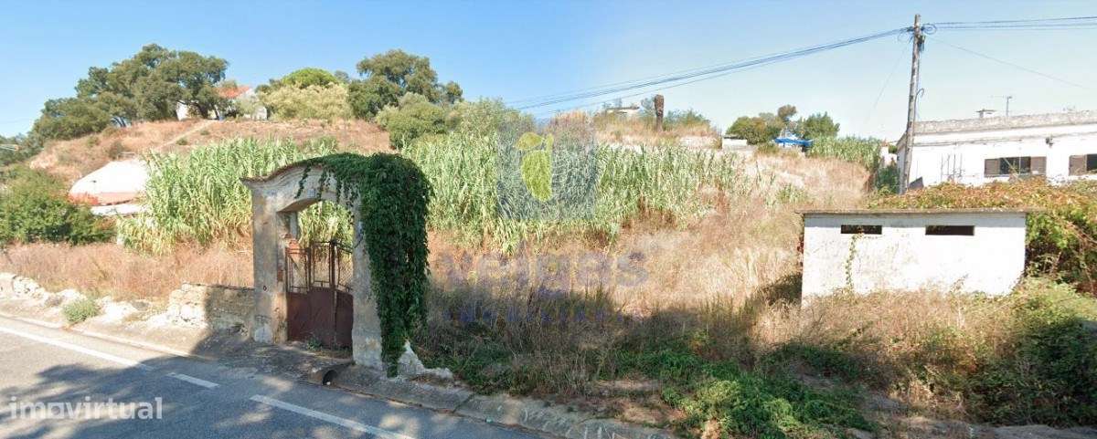 Moradia T2 São João da Ribeira - Grande imagem: 4/9