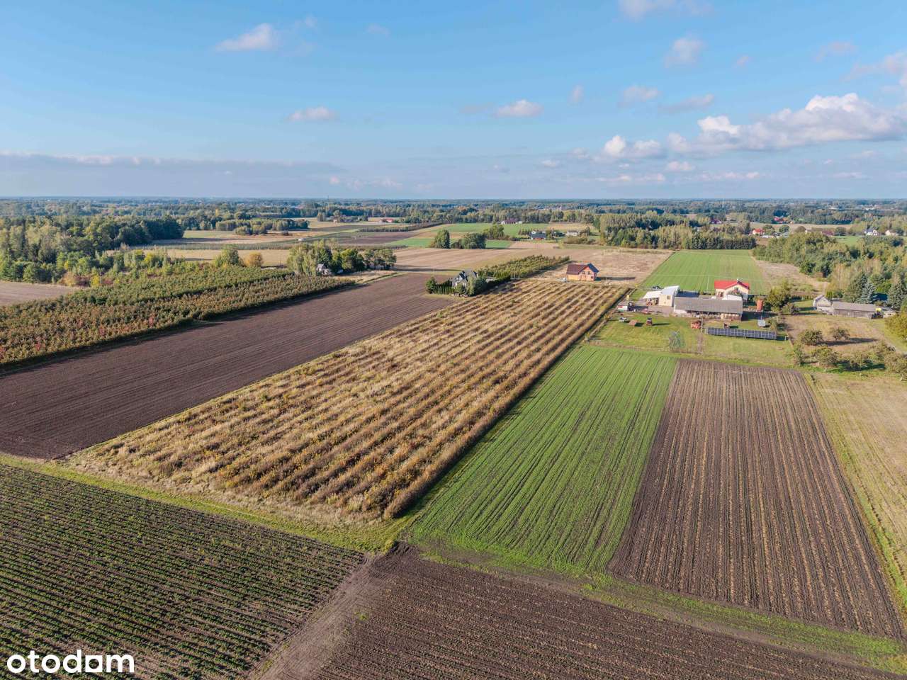 Częstoniew k. Grójca - działka 3189 m², WZ-4