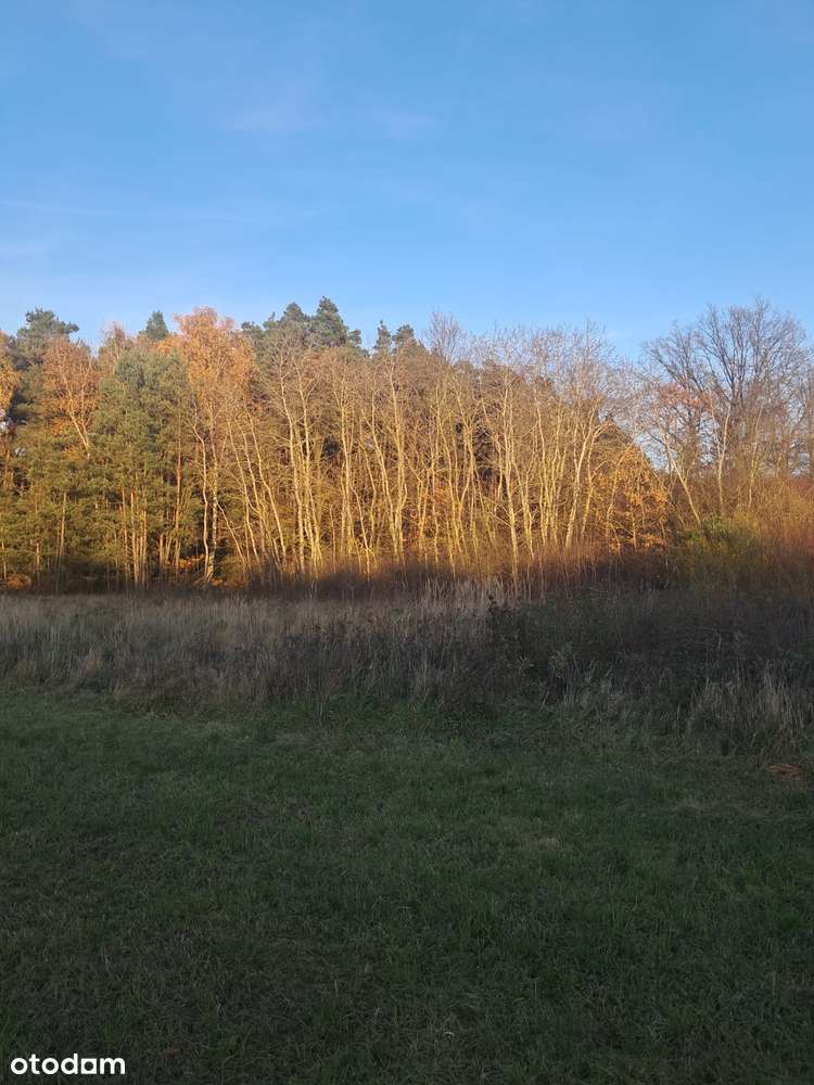 Działka budowlana z warunkami o pow. 1400m2, Dzierzbin – gm. Mycielin-3