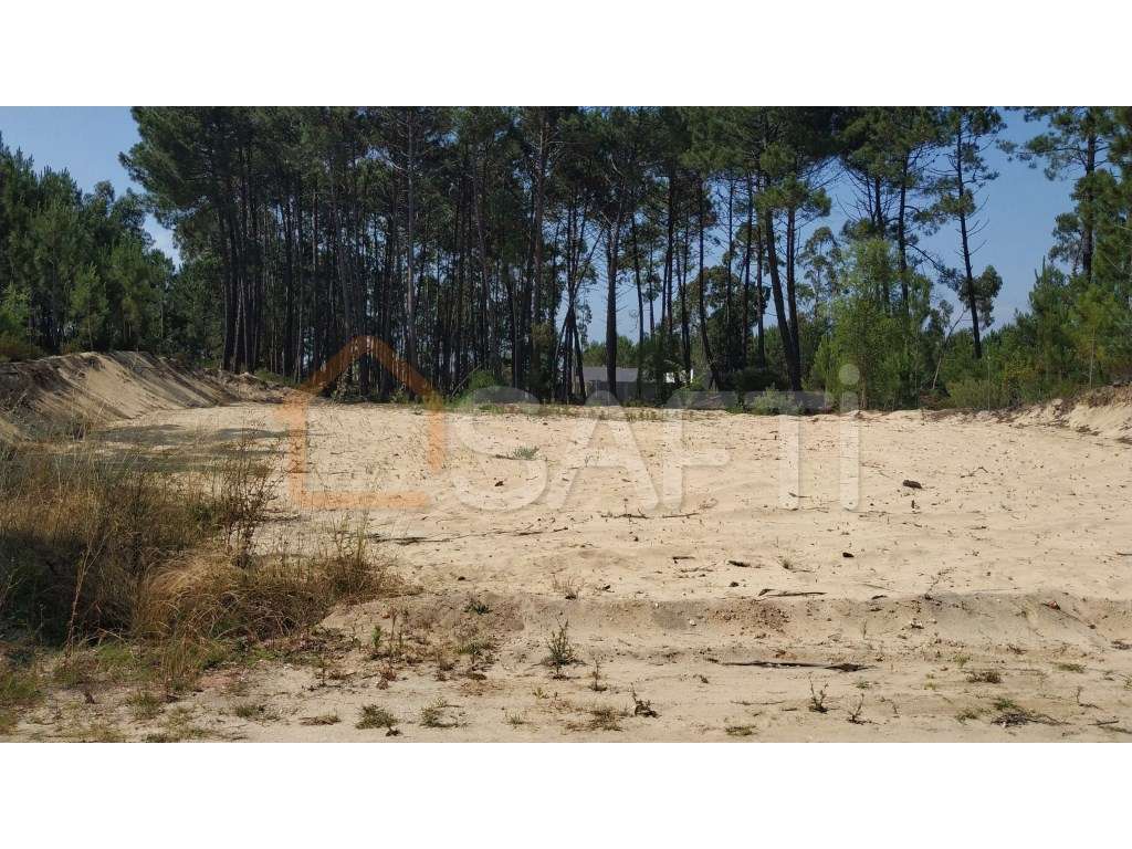 Terreno plano - Grande imagem: 4/10