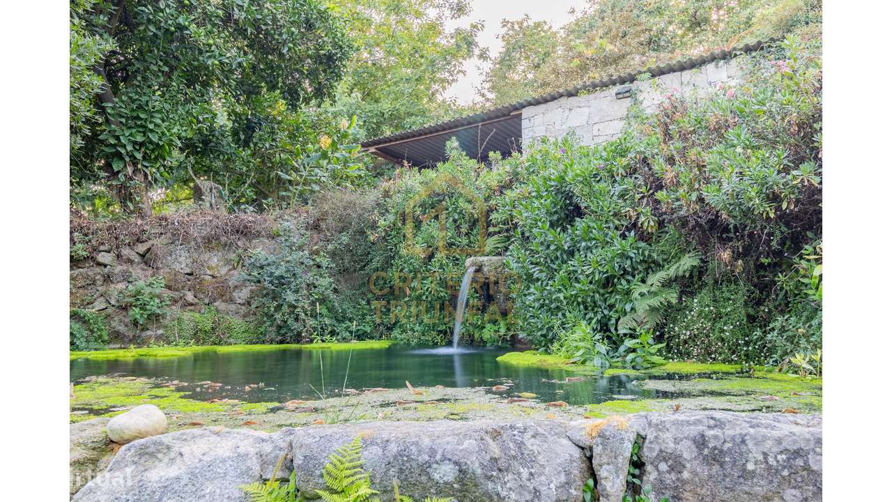 Quinta com Moradia T5 em Boelhe,Penafiel-5