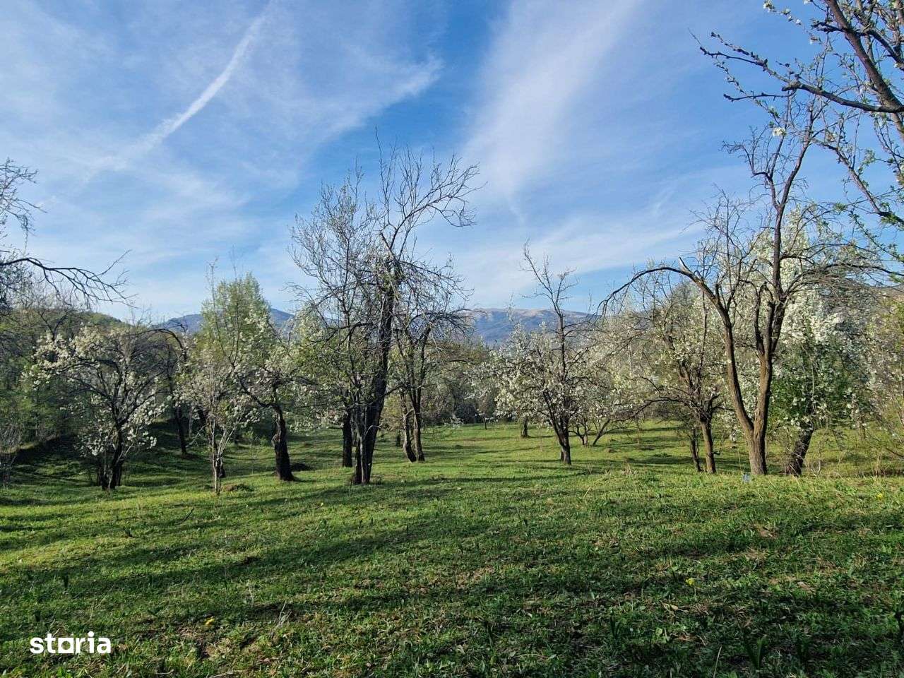 Teren intravilan Breaza zona retrasa - Imagine principală: 2/13