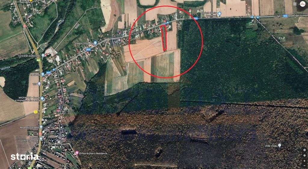 Vanzare teren Ciolpani, 1500 mp-6