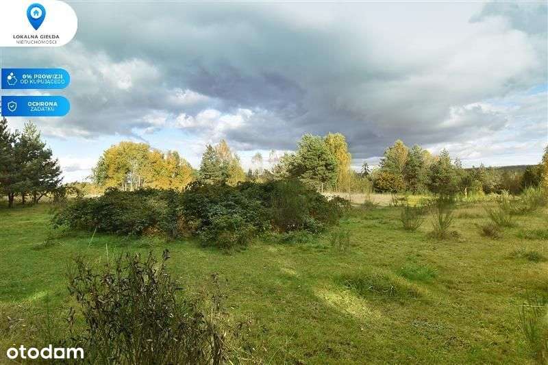 Otoczeniu lasu, Jezioro Gowidlińskie 500m-5