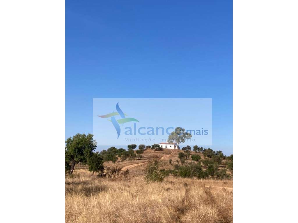 Herdade com 814hectares no Baixo Alentejo / Moura / Fronteira com E...-10