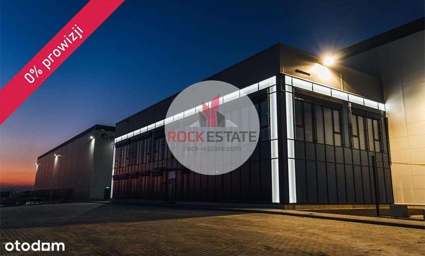 Magazyn w Rudzie Śląskiej od zaraz - 4400 m2 - Pełny obrazek: 5/8