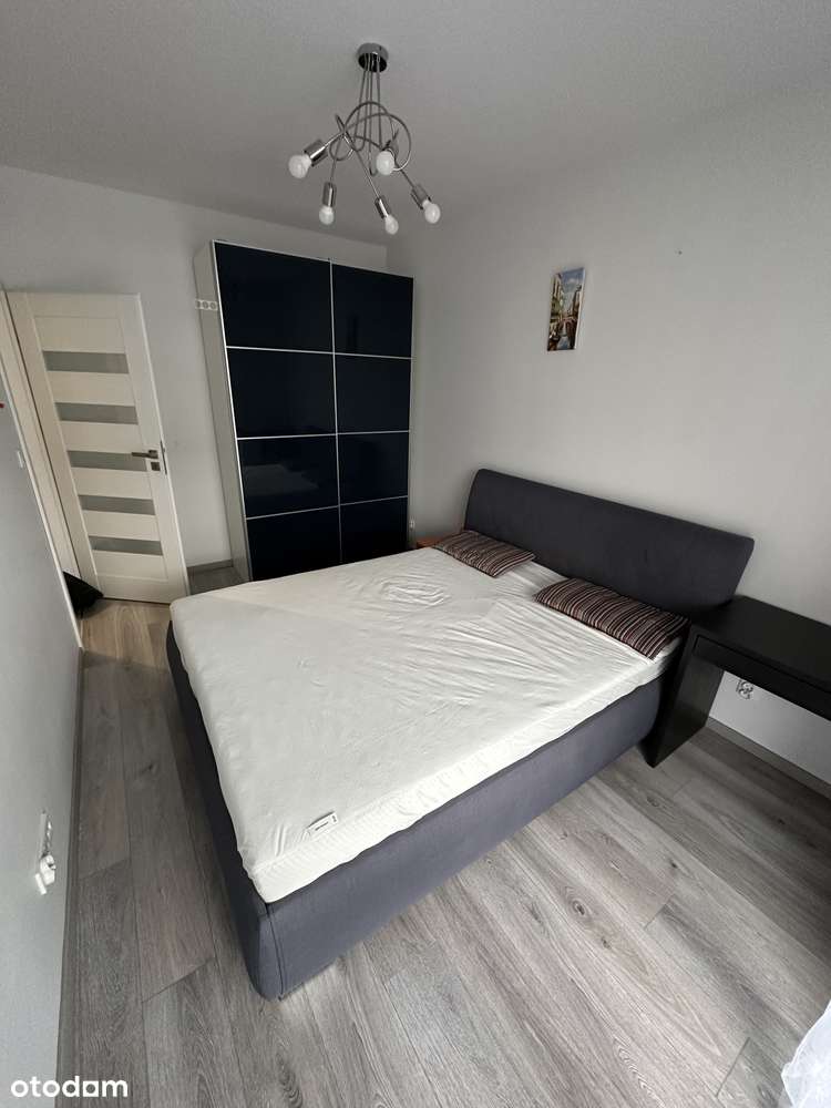 2 pokoje z tarasem i ogródkiem|klimatyzacja|garaż|bez prowizji - Pełny obrazek: 5/11