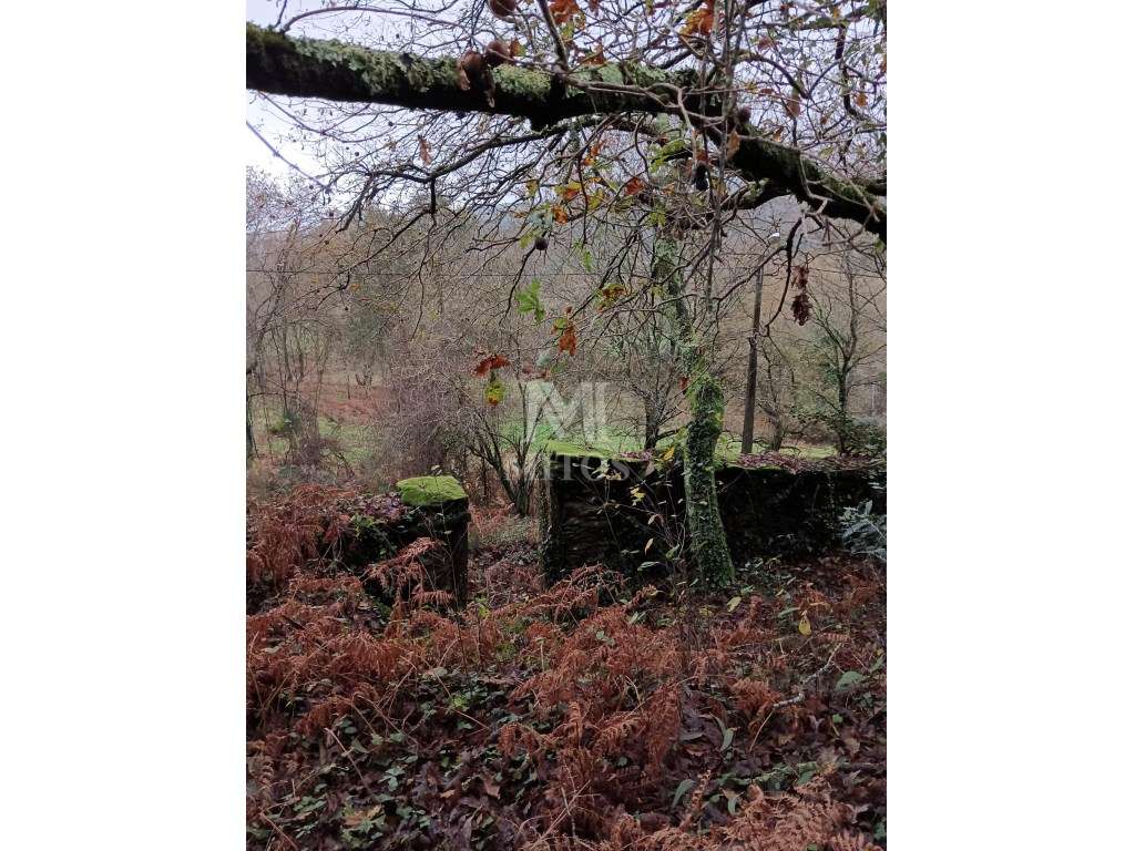 Terreno para venda em Amonde - Grande imagem: 5/8