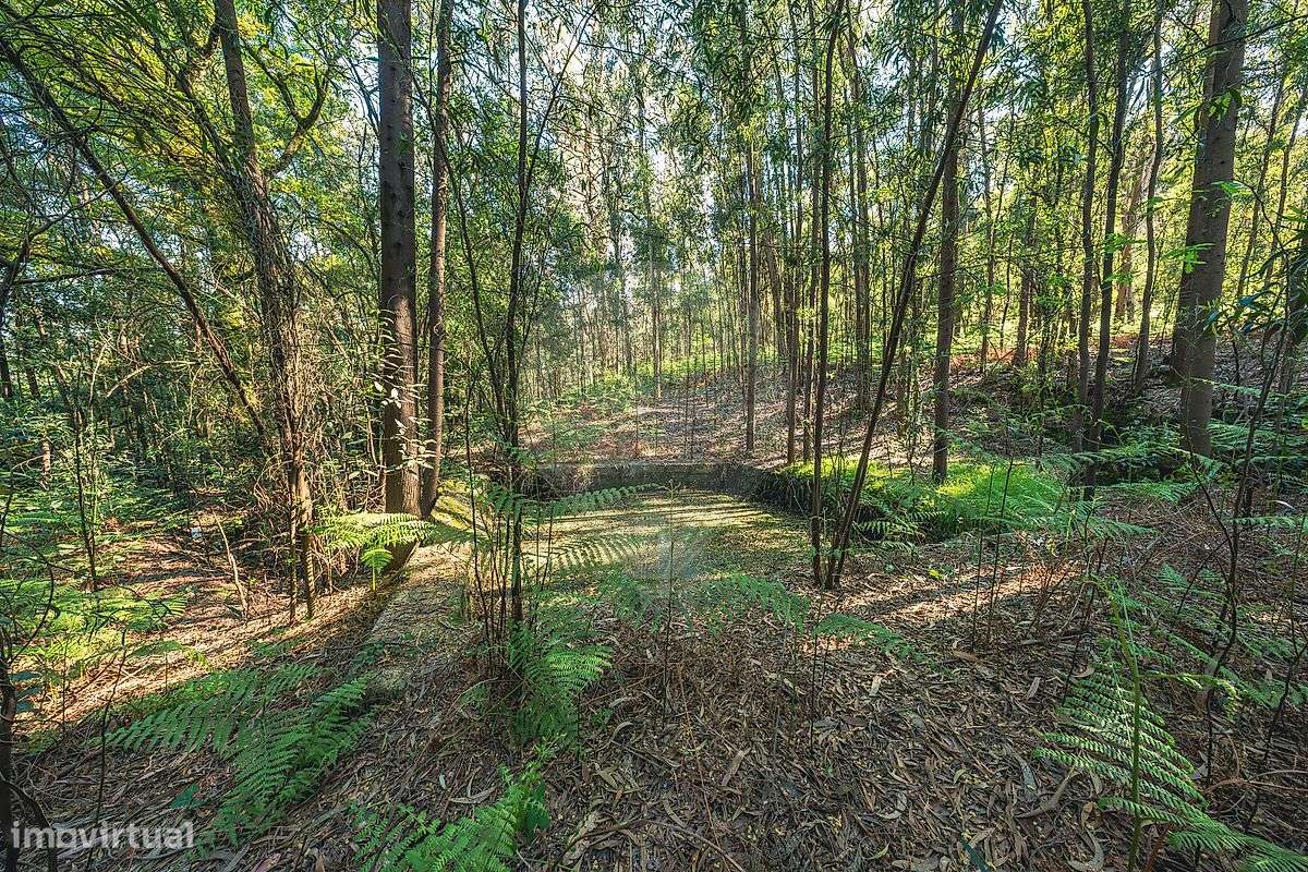 Moradia T4 para venda-22