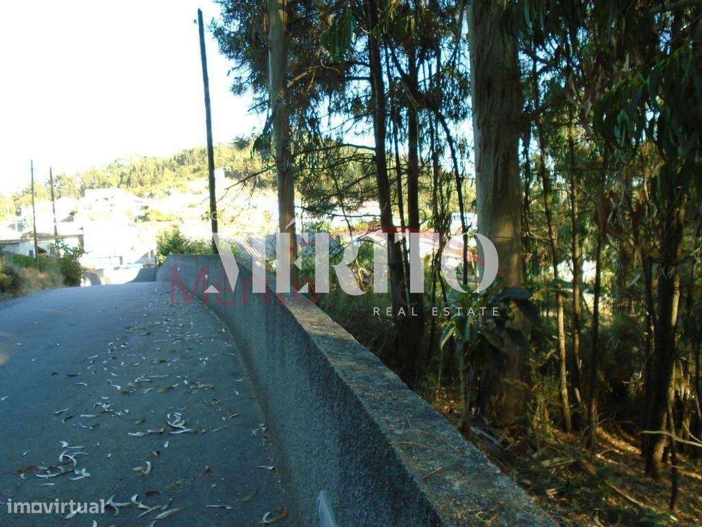 Venda Terreno - Grande imagem: 3/6