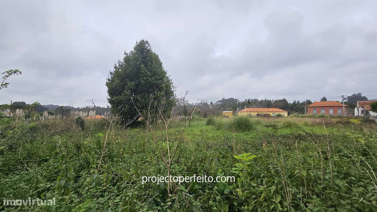 Terreno Rústico  Venda em Grijó e Sermonde,Vila Nova de Gaia - Grande imagem: 3/9