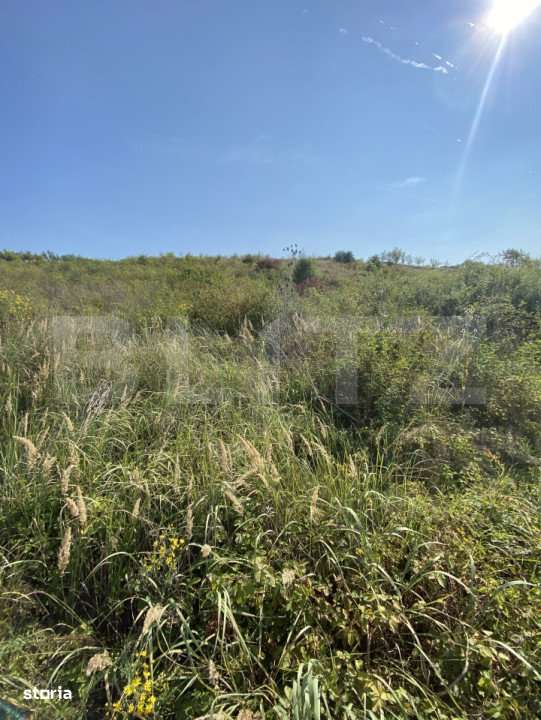 Teren intravilan/extravilan centura Zalau, 8200 mp - Imagine principală: 3/6