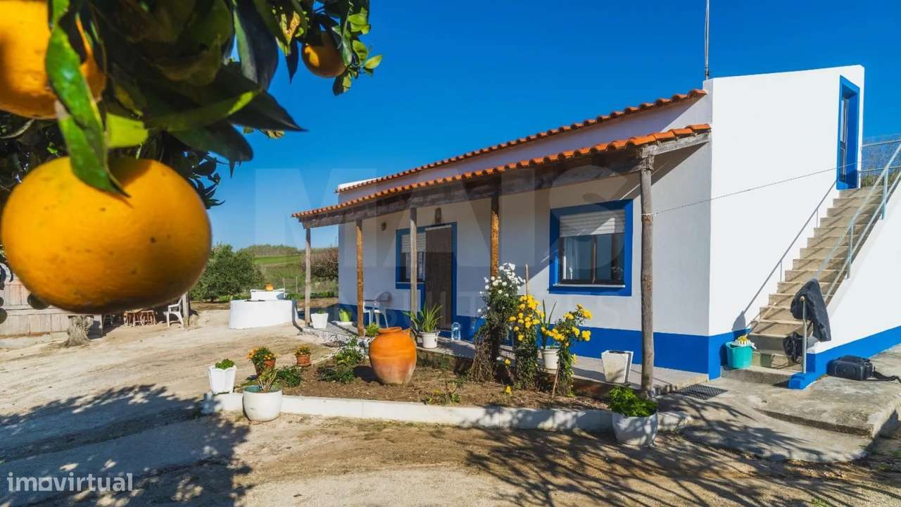 Terreno com casa e projeto para moradia térrea vista mar - Grande imagem: 4/21