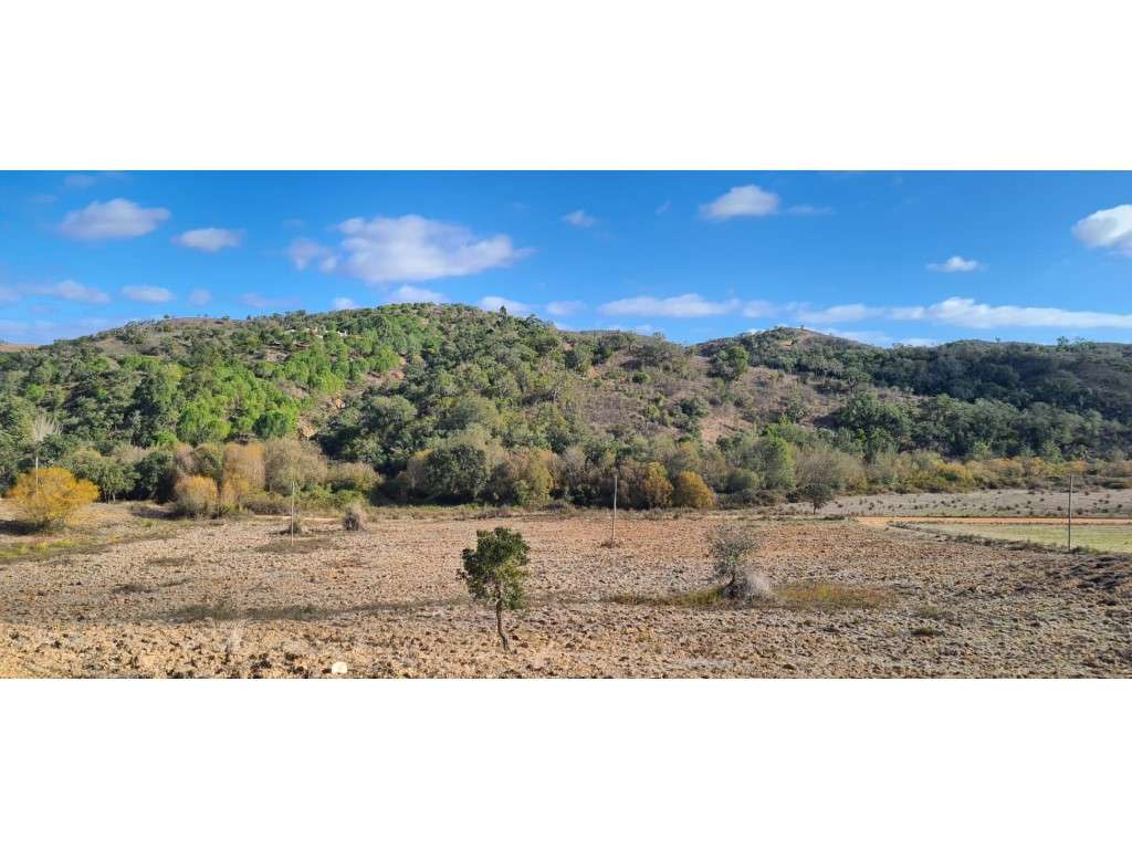 Monte Alentejano com projecto-12