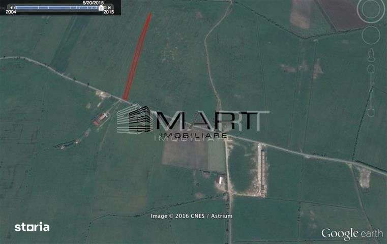 Teren intravilan 10.000mp la drum Calea Surii Mici - Imagine principală: 3/3