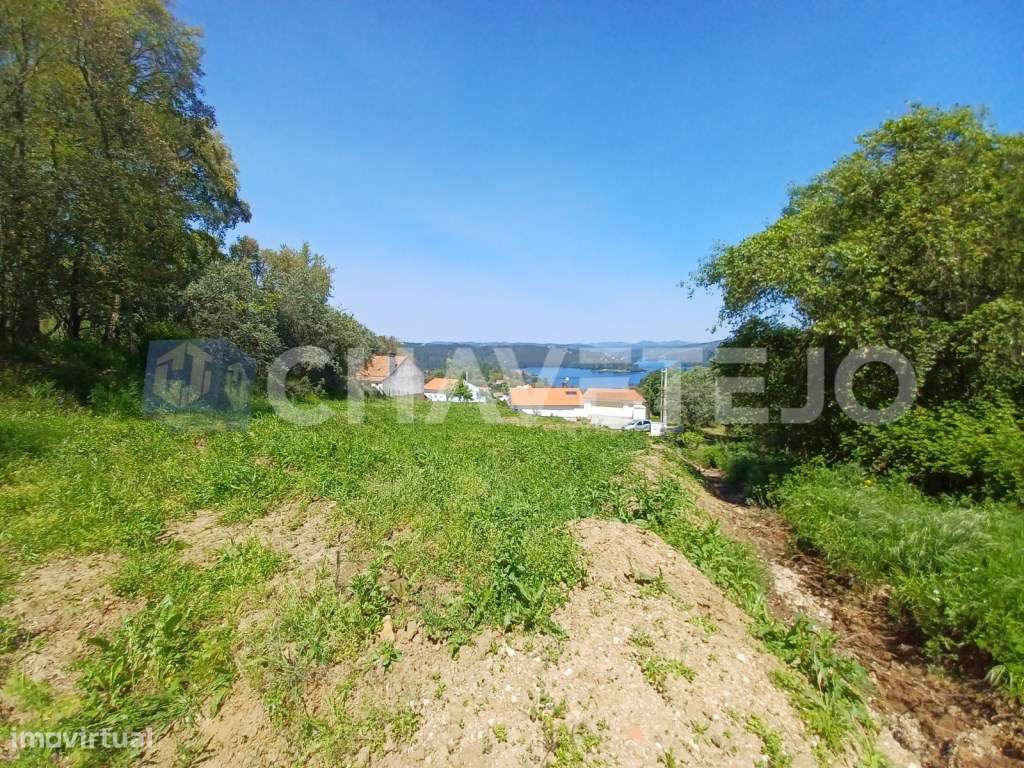 Terreno rústico com vista para a Albufeira do Castelo do Bode. - Grande imagem: 4/10