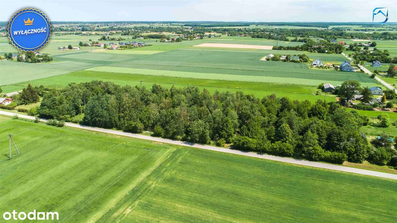 Nietuzinkowy grunt z altanką i strefą rekreacyjną - Pełny obrazek: 4/20