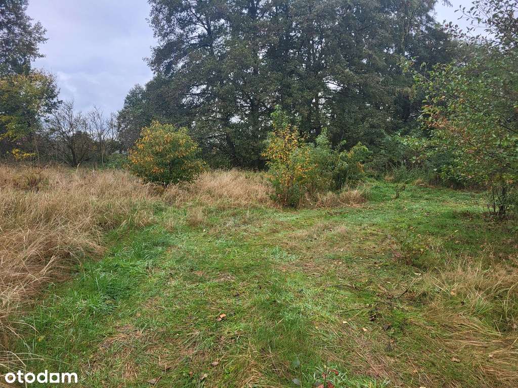 Działka inwestycyjna w Dobrej - Pełny obrazek: 4/8