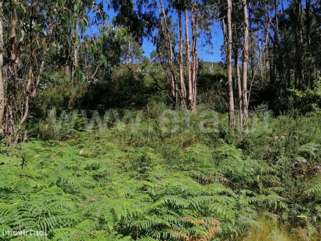 Terreno rústico com 2.630 m2 em Passos