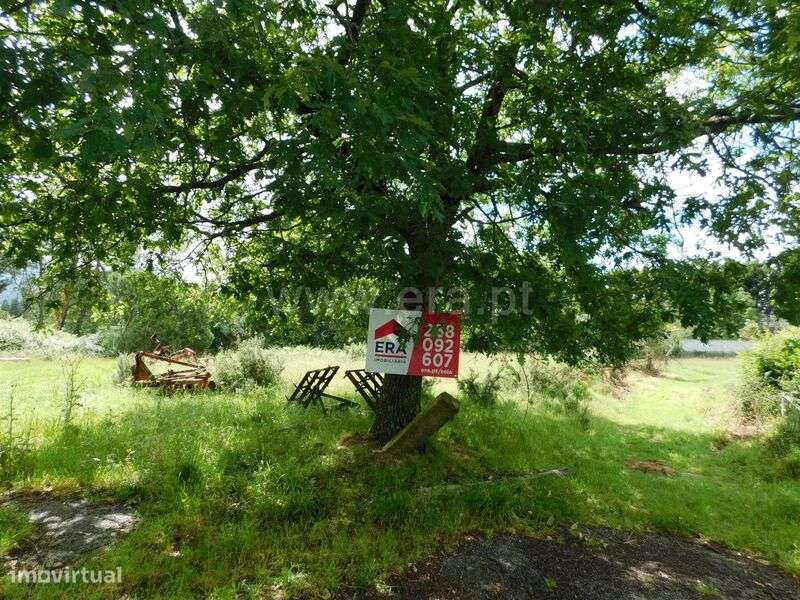 Terreno / Seia, Carragozela e Várzea de Meruge - Grande imagem: 2/6