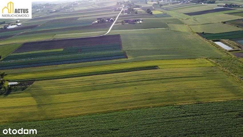 Działka Budowlana Górka Jaklińska 10ar - Pełny obrazek: 4/9