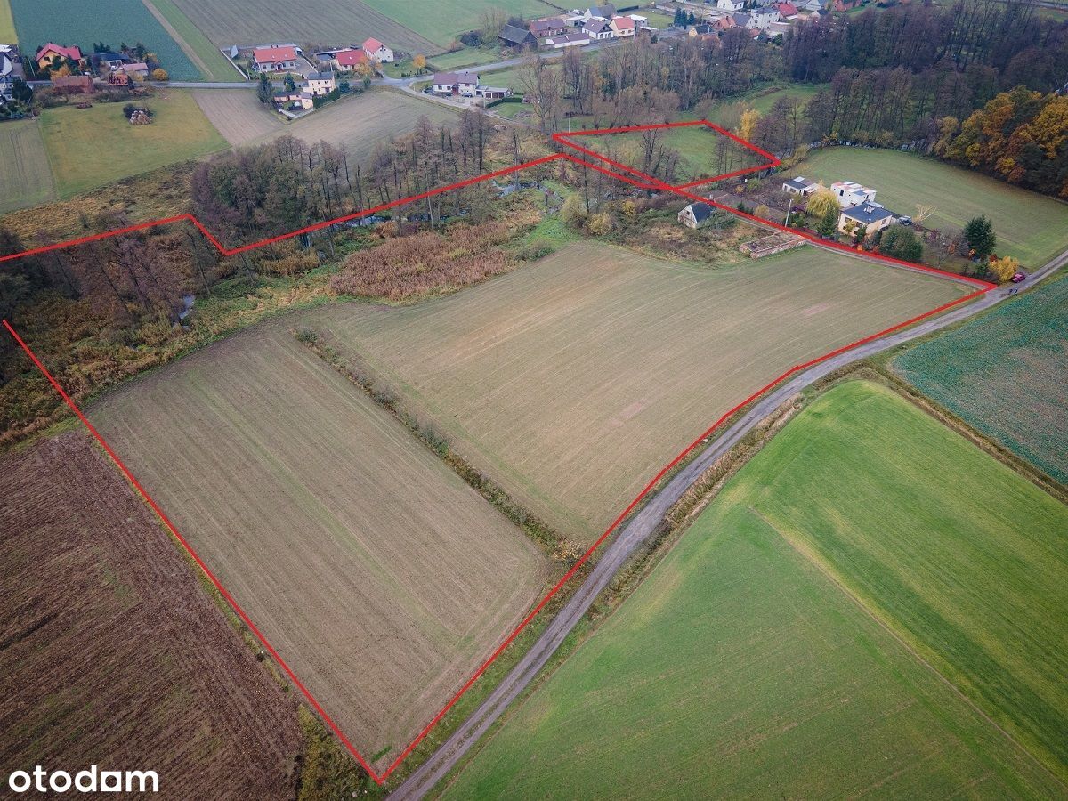 Malownicza Działka Nad Lutynią, w Sośnicy,