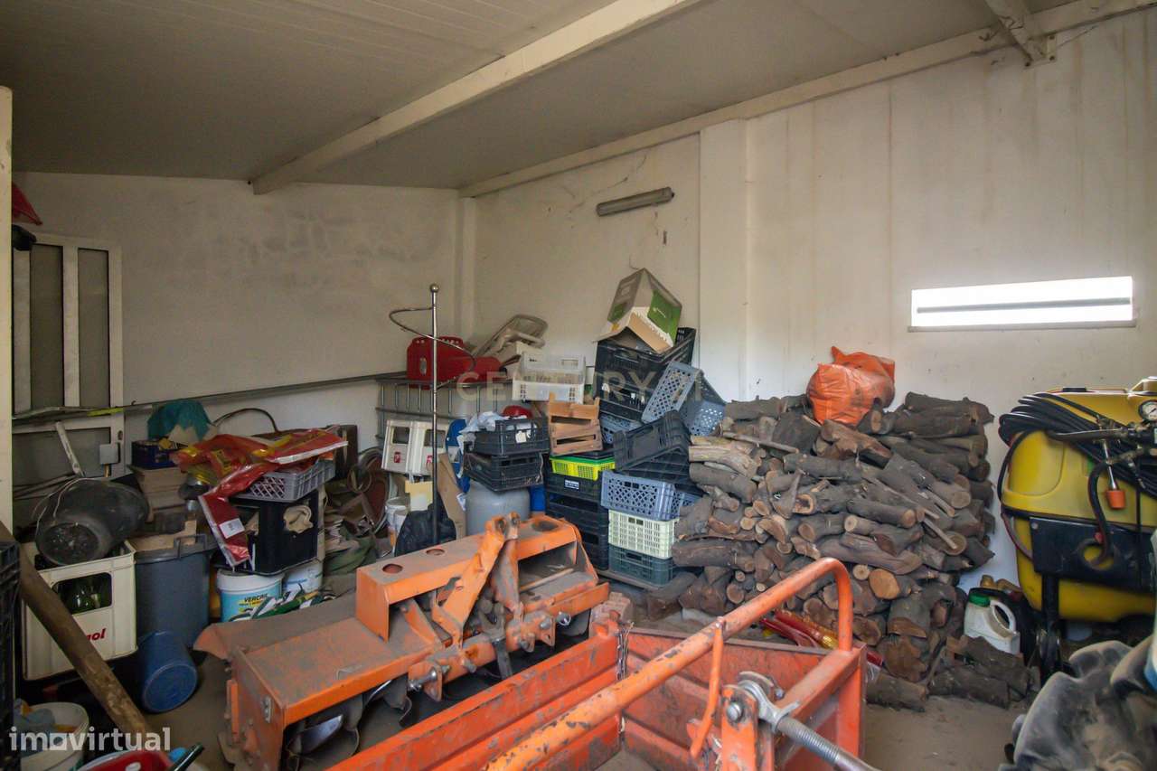 Terreno Rústico em Quinta do Anjo, Palmela - 11.800m2 - Grande imagem: 4/21