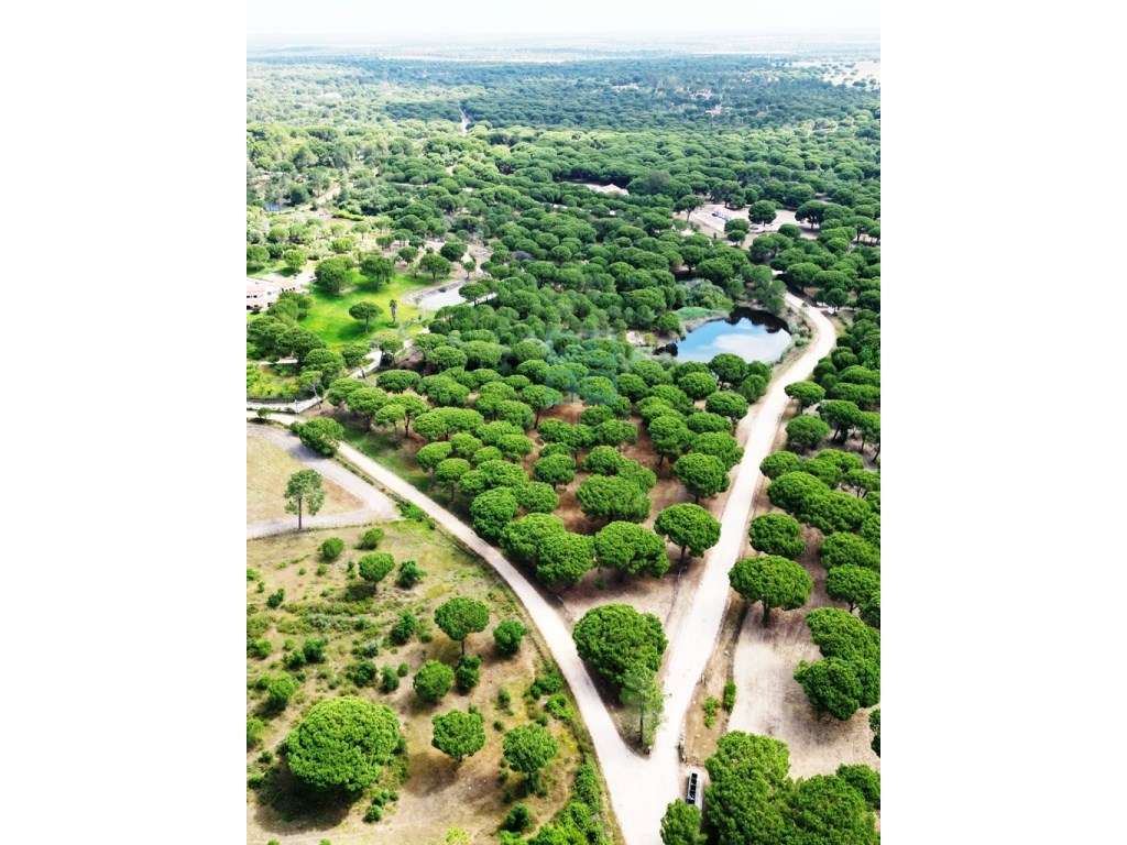 Lote de Terreno de 33.300m2, com lagoa, na Mata do Duque 1, Santo E...-26
