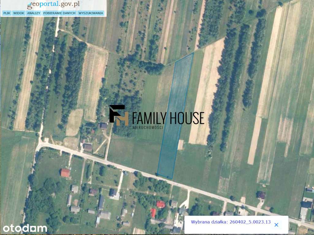 Działka 7554m² szeroka 31m - Wiącka, gm. Bodzentyn - Pełny obrazek: 4/4