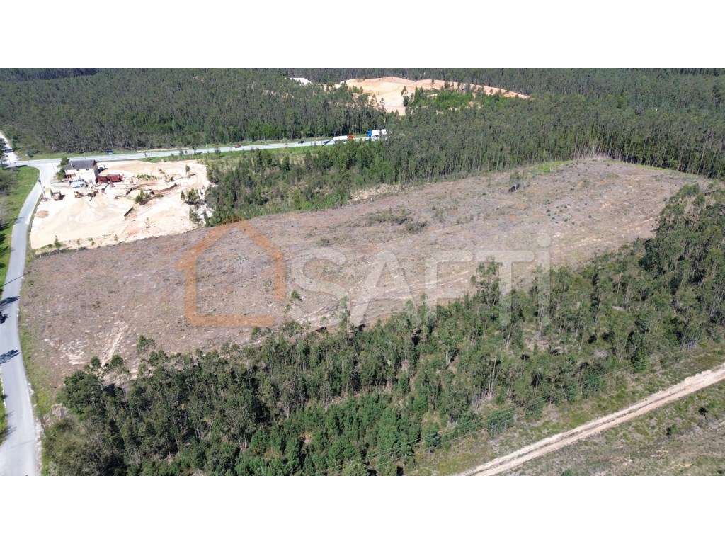 Terreno Rústico com 1 Hectare à Venda no Relvão, Redinha - Pombal - Grande imagem: 3/13