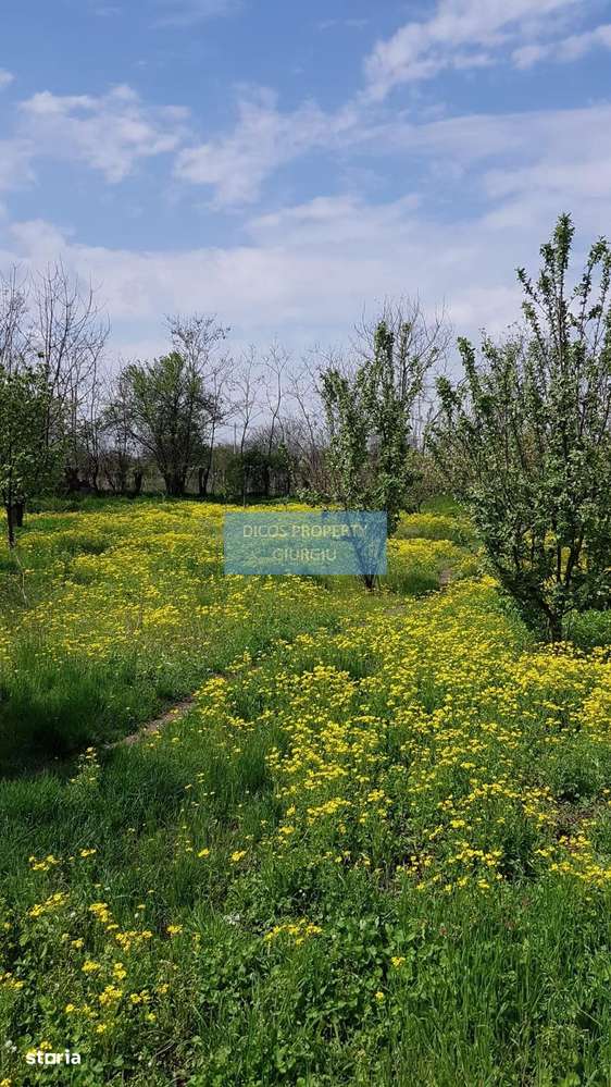 Teren 2.600 mp, utilități, Str. Merișor – Giurgiu-2